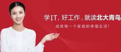 計(jì)算機(jī)技術(shù)就業(yè)前景分析與學(xué)習(xí)路徑咨詢(xún)